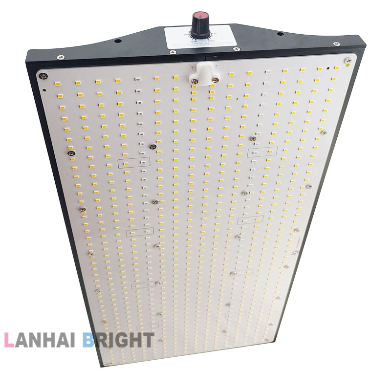 Full Spectrum LED Grow Light Quantum Sunlike Grow Lamp For Greenhouse Plant Growth Lighting Double Chip High Power LED Beads