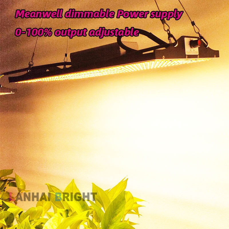 240W High efficiency Grow light Led Boards Led Grow Light Luminous Black Body Lamp Power Item COOL SMD Color Flux