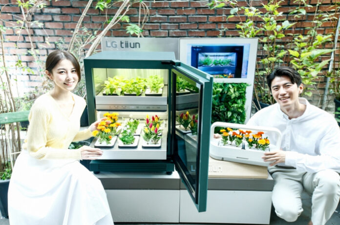 With Led Lighting, LG Intelligent Indoor Planting System Can Provide Fresh Vegetables All Year Round