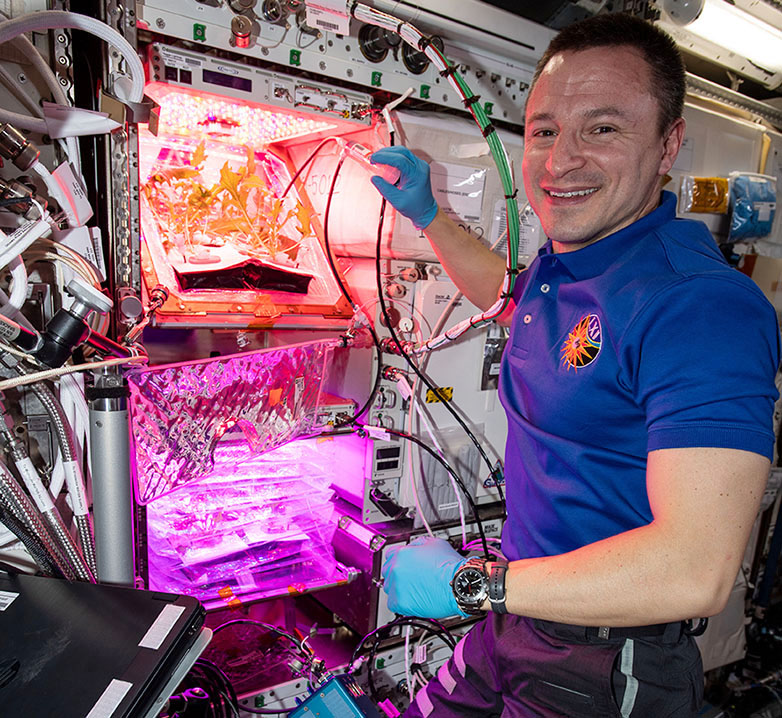 NASA Brings LED Plant Grow Lights to Space Station