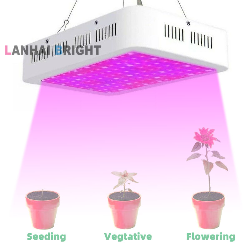 Liauekay Full-Spectrum Double Switch Dimmer Plant Lamp 1200W LED Grow Light for Grow Tent White with Thermometer Humidity Monitor and Grow Light Glasses Cannabis Seed Plant Seeding Veg Flower 