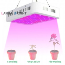 1200W Full Spectrum Horticultural LED Grow Lights with VEG BLOOM Double Switch
