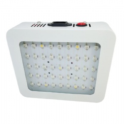 Wholesale 450W 500W Autoflower Growers Lighting Indoor Plant Growth Lamp Full Spectrum Led Grow Lights Chinese Factory Supplier